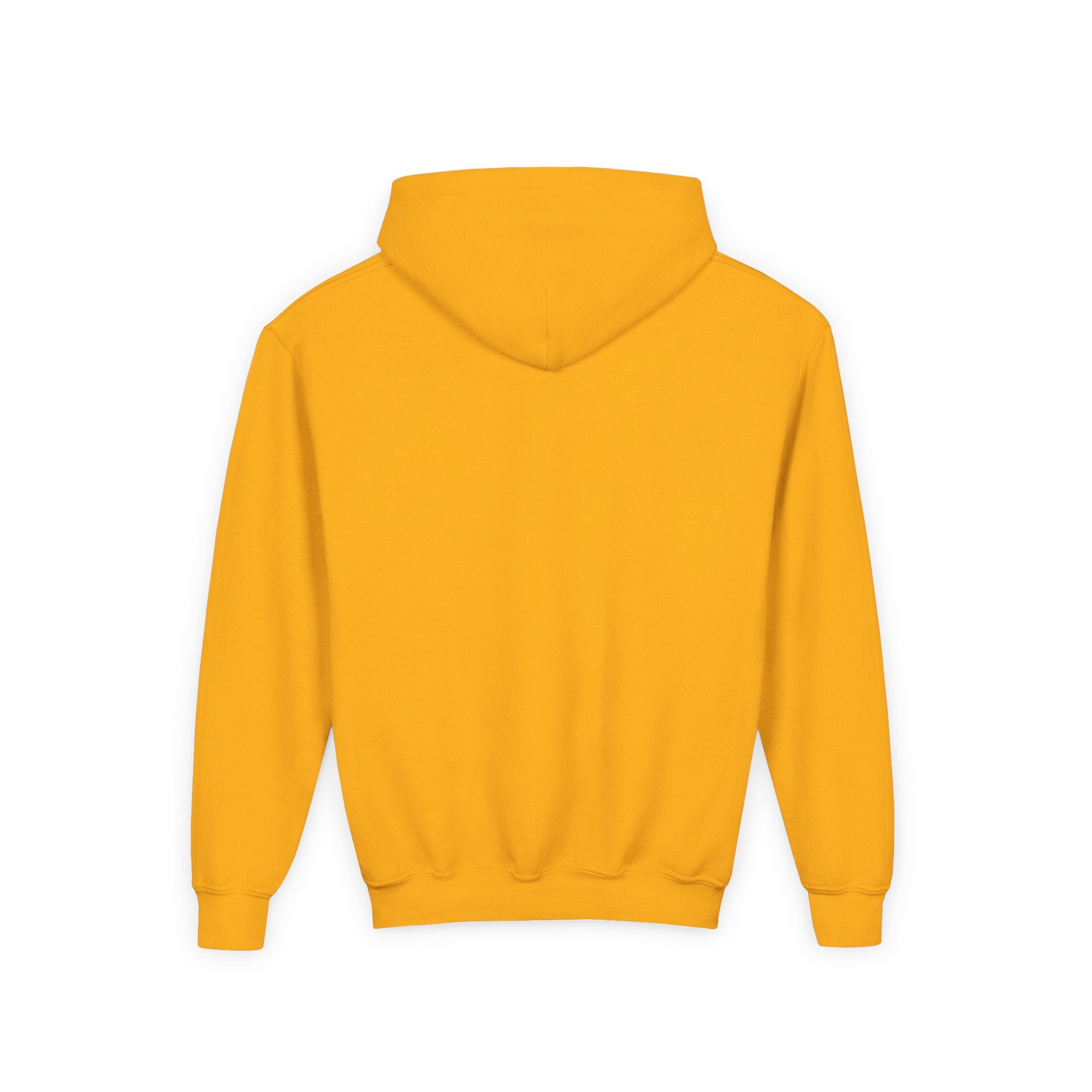 Youth Hoodie — Minimal 'AURU' Gold Logo Pullover